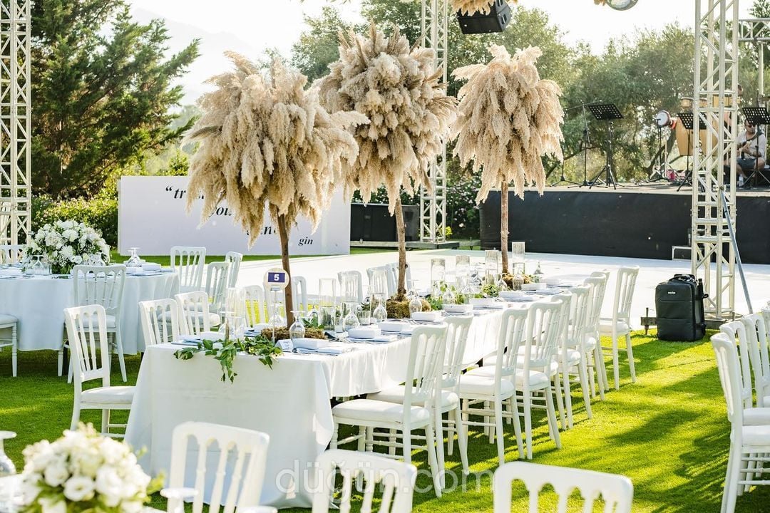 Düğün Organizasyonu